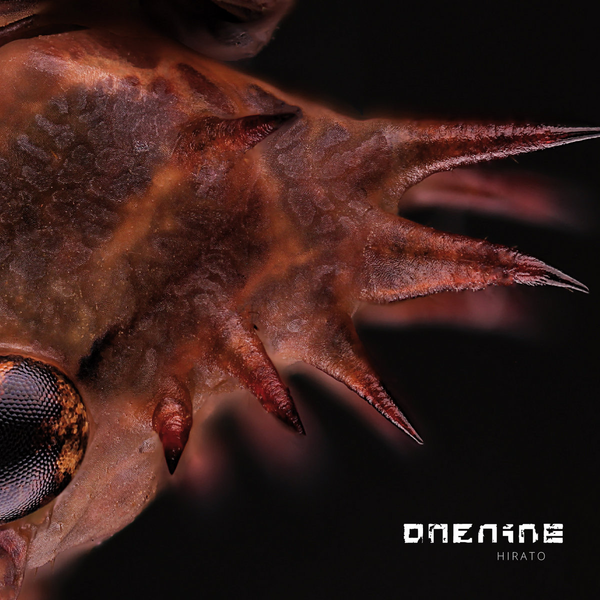 onenine