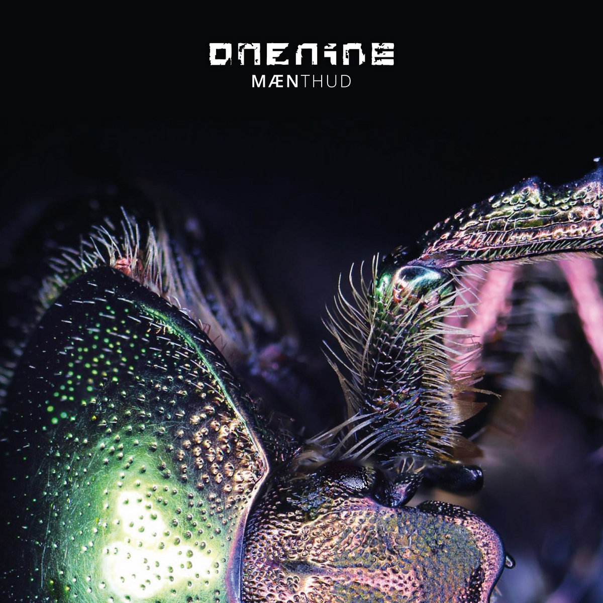 onenine
