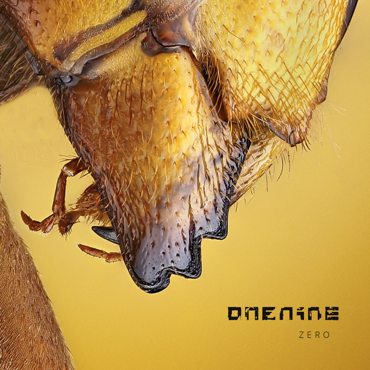 onenine